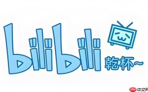 bilibili大会员官方开通中心-bilibili大会员手机端开通入口