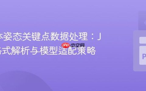 2D人体姿态关键点数据处理：JSON格式解析与模型适配策略