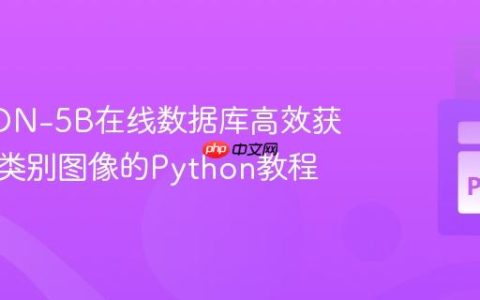 从LAION-5B在线数据库高效获取指定类别图像的Python教程