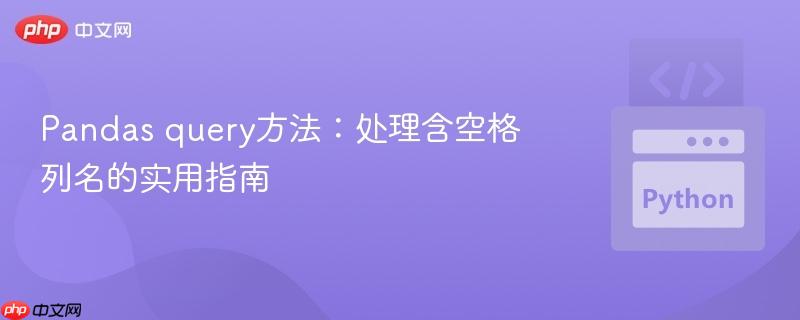 Pandas query方法:处理含空格列名的实用指南
