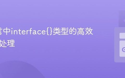 Go语言中interface{}类型的高效转换与处理