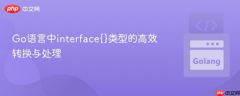 go语言中interface{}类型的高效转换与处理