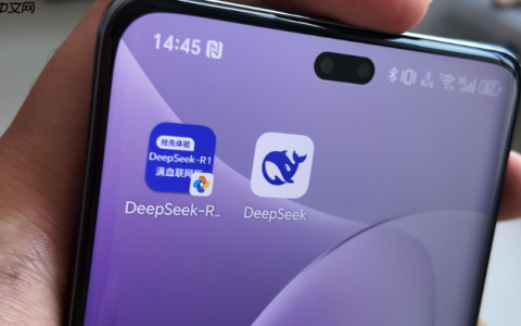 DeepSeek AI官网入口 DeepSeek AI生成图片官方网址入口