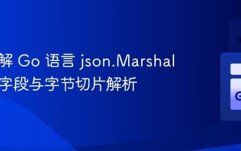 深入理解 Go 语言 json.Marshal：导出字段与字节切片解析