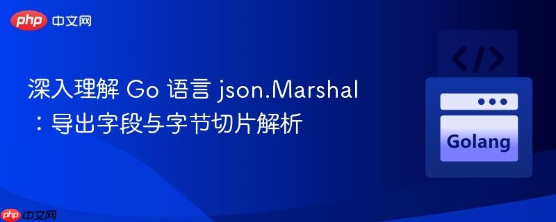 深入理解 Go 语言 json.Marshal:导出字段与字节切片解析