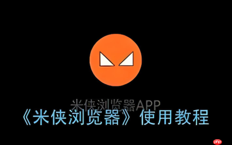 米侠浏览器打开PDF文件失败怎么办_米侠浏览器文档阅读功能修复方法