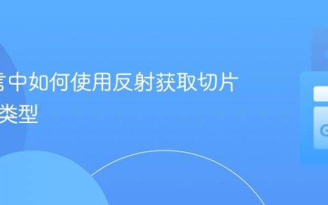 Go语言中如何使用反射获取切片的元素类型