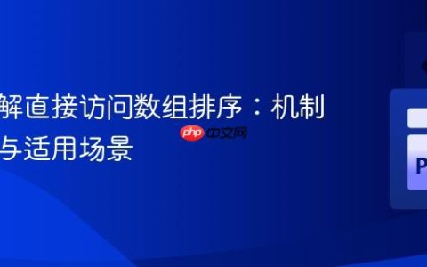 深入理解直接访问数组排序：机制、实现与适用场景