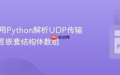 如何使用Python解析UDP传输的C语言嵌套结构体数组