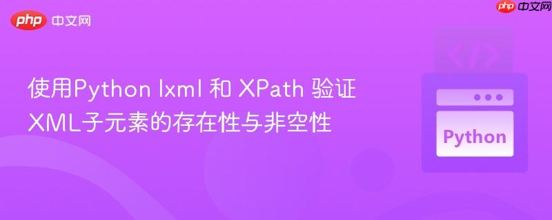 使用Python lxml 和 XPath 验证XML子元素的存在性与非空性