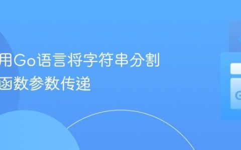 如何使用Go语言将字符串分割后作为函数参数传递