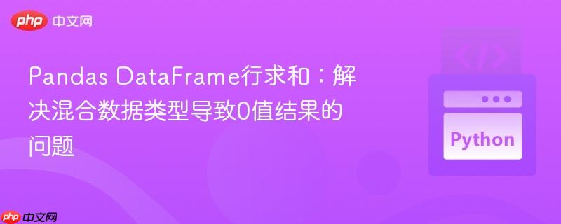 Pandas DataFrame行求和:解决混合数据类型导致0值结果的问题