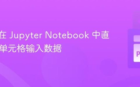 # 如何在 Jupyter Notebook 中直接读取单元格输入数据