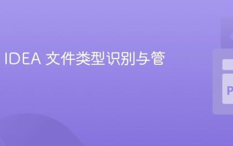 IntelliJ IDEA 文件类型识别与管理指南
