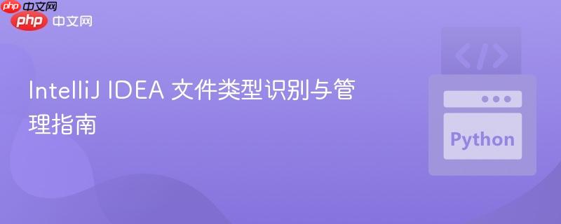intellij idea 文件类型识别与管理指南