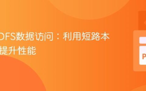 优化HDFS数据访问：利用短路本地读取提升性能