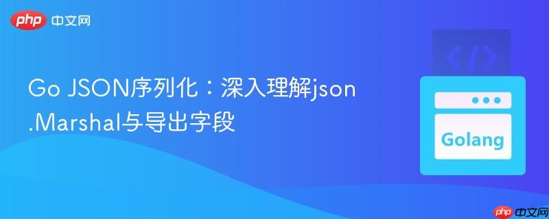go json序列化:深入理解json.marshal与导出字段