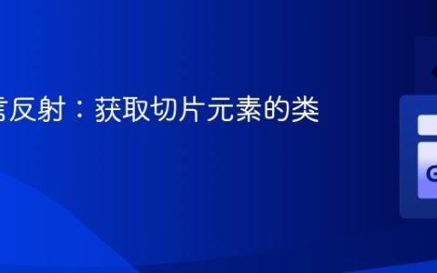Go语言反射：获取切片元素的类型