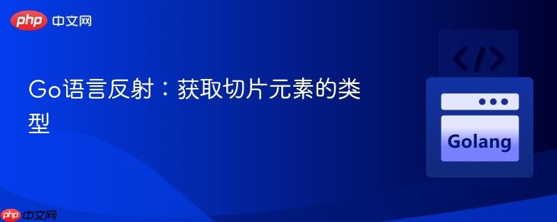 Go语言反射:获取切片元素的类型