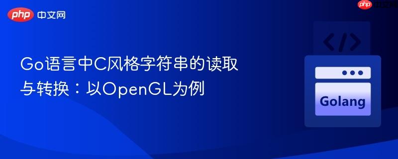 Go语言中C风格字符串的读取与转换:以OpenGL为例