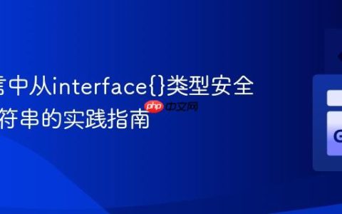 Go语言中从interface{}类型安全提取字符串的实践指南