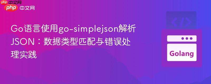 Go语言使用go-simplejson解析JSON:数据类型匹配与错误处理实践