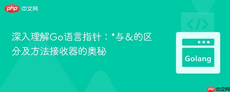 深入理解Go语言指针:*与&的区分及方法接收器的奥秘
