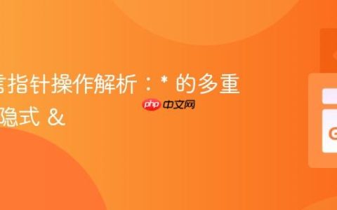 Go语言指针操作解析：* 的多重语义与隐式 &