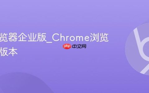 谷歌浏览器企业版_Chrome浏览器商业版本