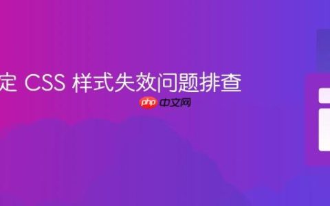 页面特定 CSS 样式失效问题排查与解决