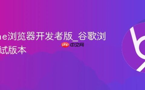 Chrome浏览器开发者版_谷歌浏览器测试版本
