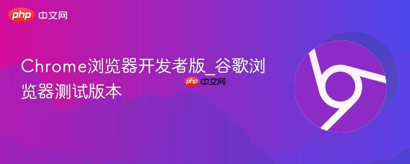 Chrome浏览器开发者版_谷歌浏览器测试版本