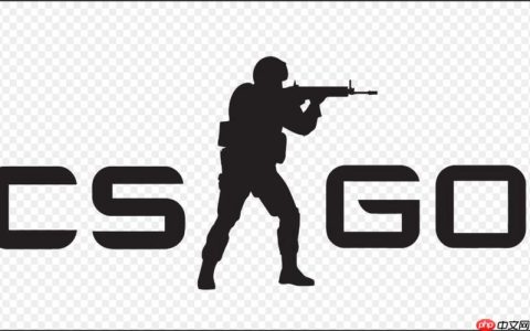 专业CSGO开箱平台推荐 CSGO开箱网大全