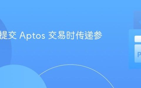 如何在提交 Aptos 交易时传递参数
