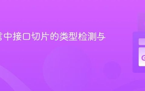 Go语言中接口切片的类型检测与处理
