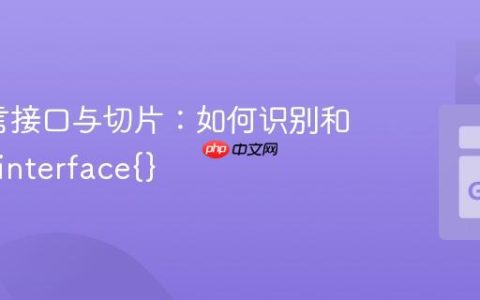 Go语言接口与切片：如何识别和操作[]interface{}