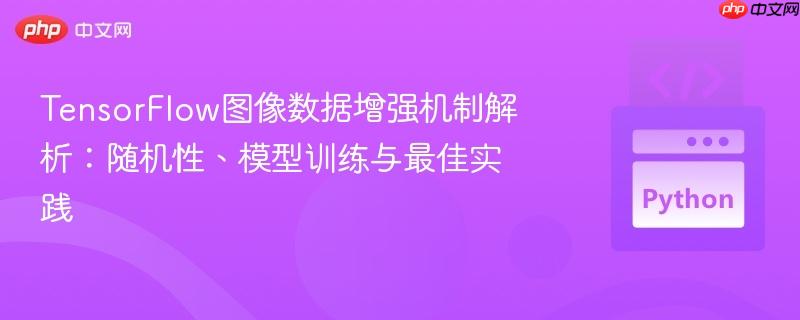 tensorflow图像数据增强机制解析：随机性、模型训练与最佳实践