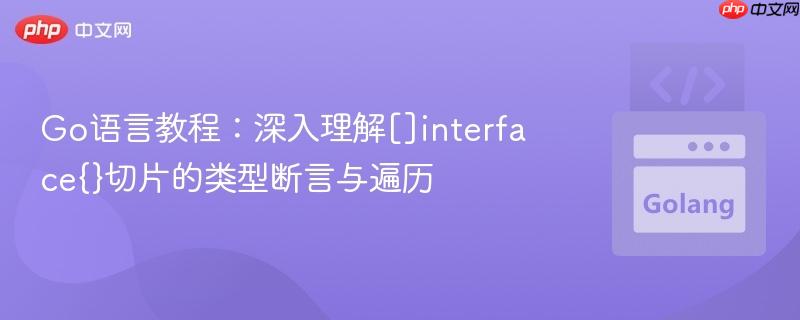 Go语言教程：深入理解[]interface{}切片的类型断言与遍历