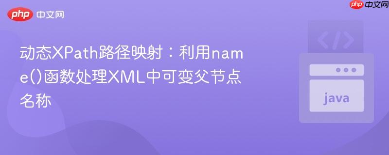 动态XPath路径映射:利用name()函数处理XML中可变父节点名称