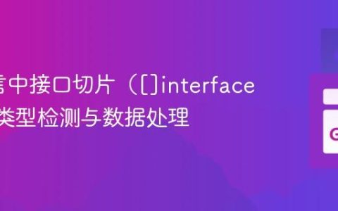 Go语言中接口切片（[]interface{}）的类型检测与数据处理