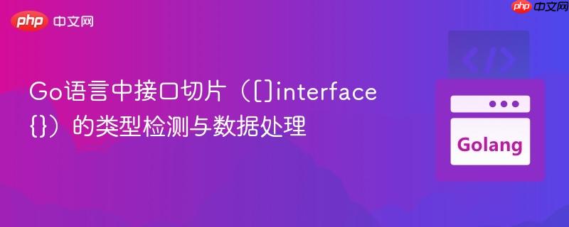 Go语言中接口切片（[]interface{}）的类型检测与数据处理