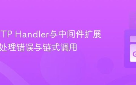 Go HTTP Handler与中间件扩展：优雅处理错误与链式调用