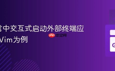 Go语言中交互式启动外部终端应用：以Vim为例
