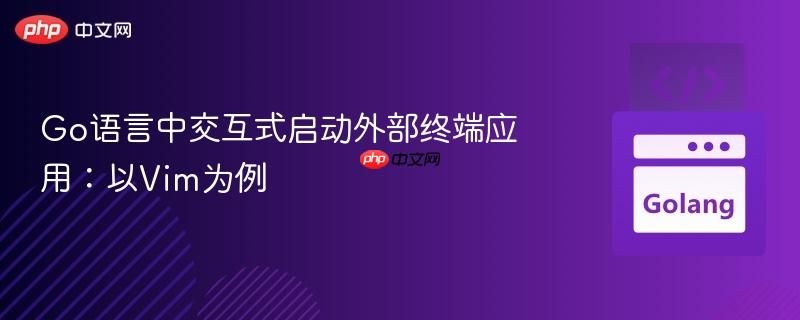 Go语言中交互式启动外部终端应用:以Vim为例