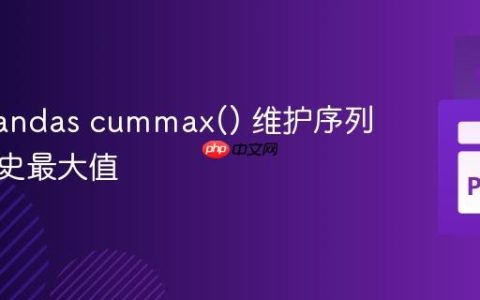 使用 Pandas cummax() 维护序列中的历史最大值