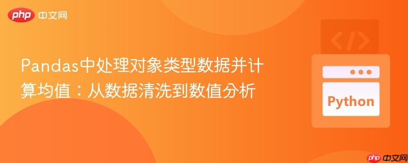 Pandas中处理对象类型数据并计算均值:从数据清洗到数值分析