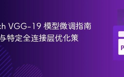 PyTorch VGG-19 模型微调指南：全层与特定全连接层优化策略