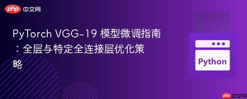 PyTorch VGG-19 模型微调指南:全层与特定全连接层优化策略