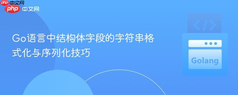 Go语言中结构体字段的字符串格式化与序列化技巧