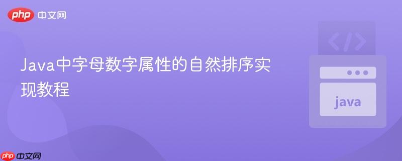 Java中字母数字属性的自然排序实现教程